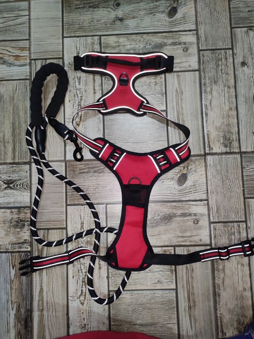 Повідок. Шлейка для собак