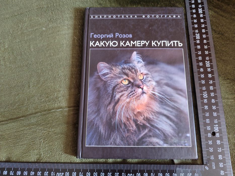 Фотография Какую камеру купить