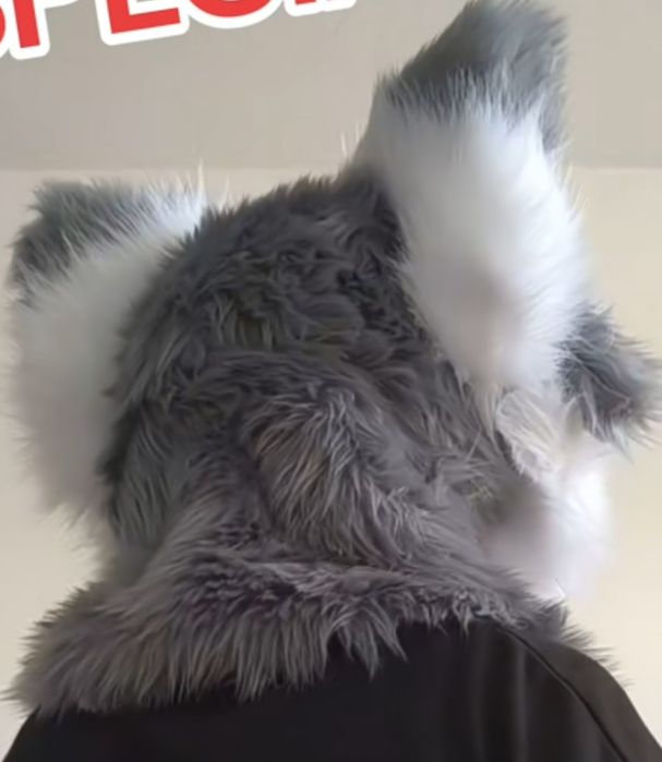Furry Fursuit kemono cat