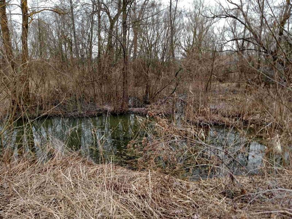 Будинок під житло чи дачу - найближче передмісття!