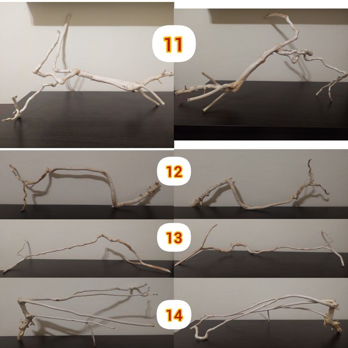 Продаю коряги, для декору акваріуму, або тераріуму