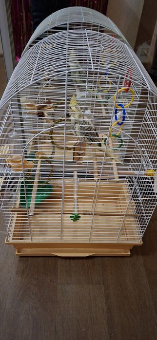 Клетка для попугая