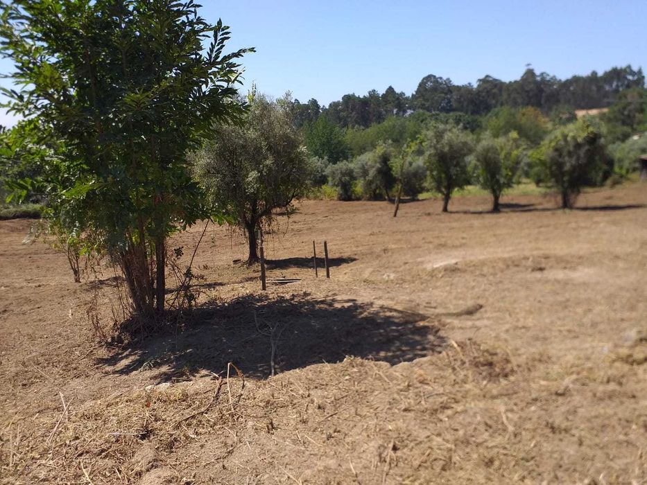 Terreno para construção junto à ecopista do dão