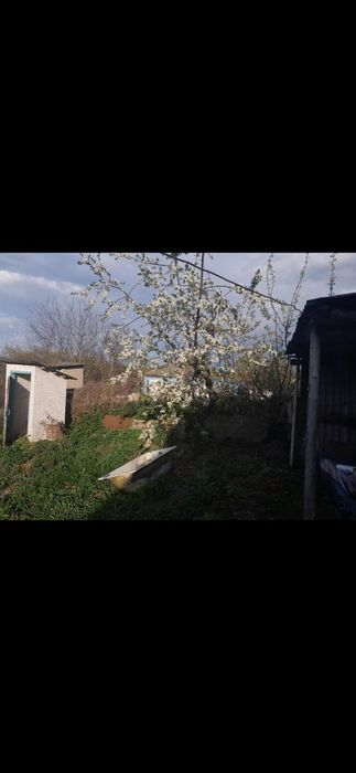 Продам будинок в с. Ладижинка