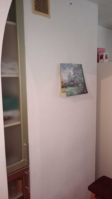 Велика трикімнатна квартира район Сільхозтехніка