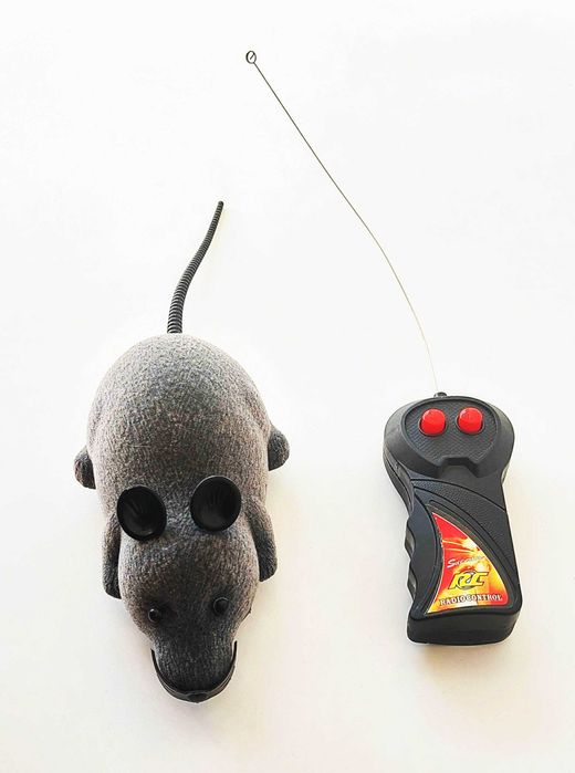 Rato com controlo remoto sem fio para animais domésticos