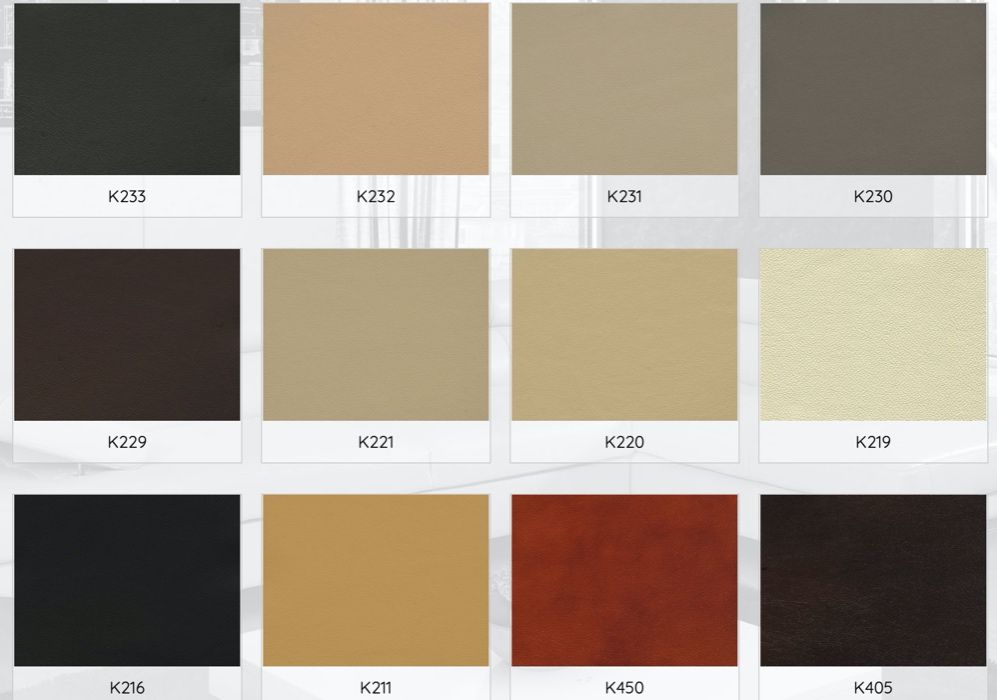 Komplet wypoczynkowy  skórzany REGLAINER