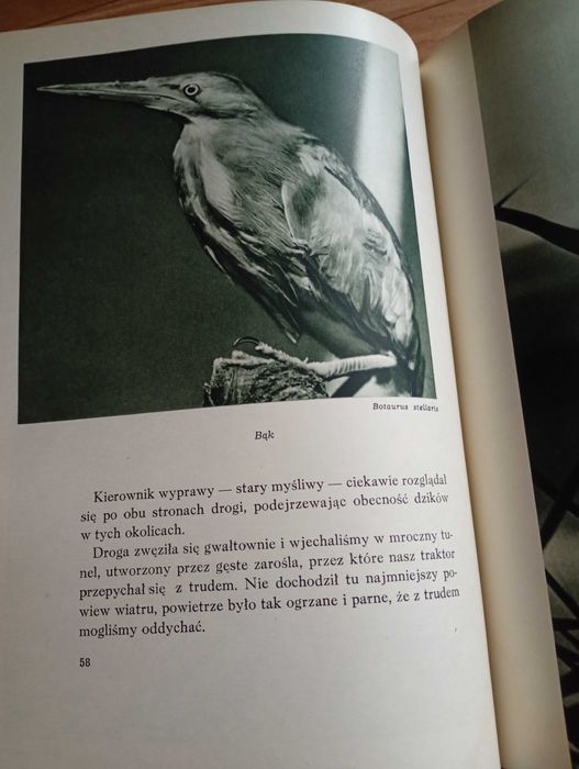 Album: ,,Wśród puszcz i lasów"