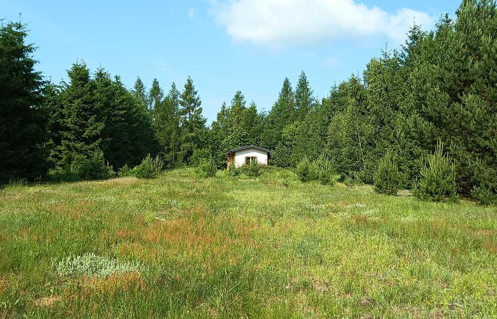 Mały domek na urlop pod lasem Nocleg