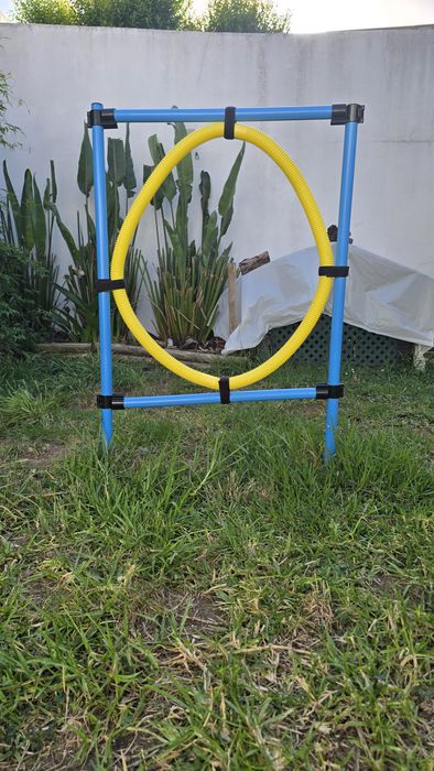 Equipamento de treino para cão