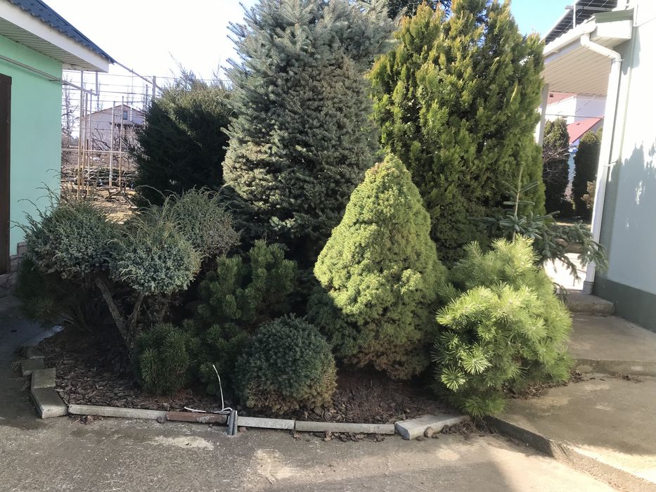 Дом Вашей мечты! 5 минут от города