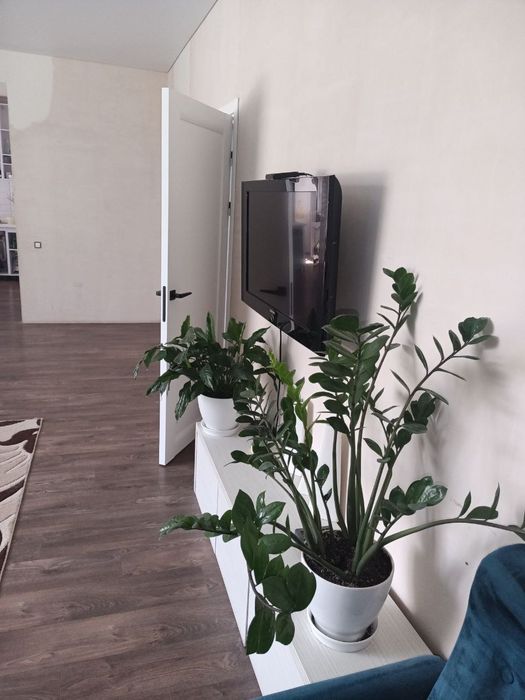 Сучасний будинок з новим ремонтом, 124 м², 12 соток в Чугуєві