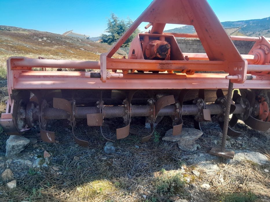 Frese galucho para venda