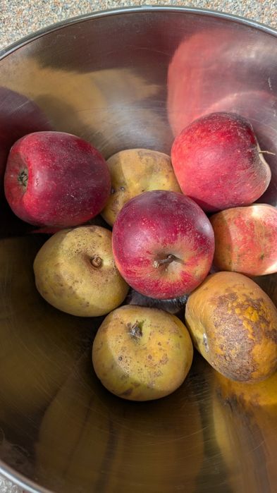 Vinagre de maçã infinito biológico