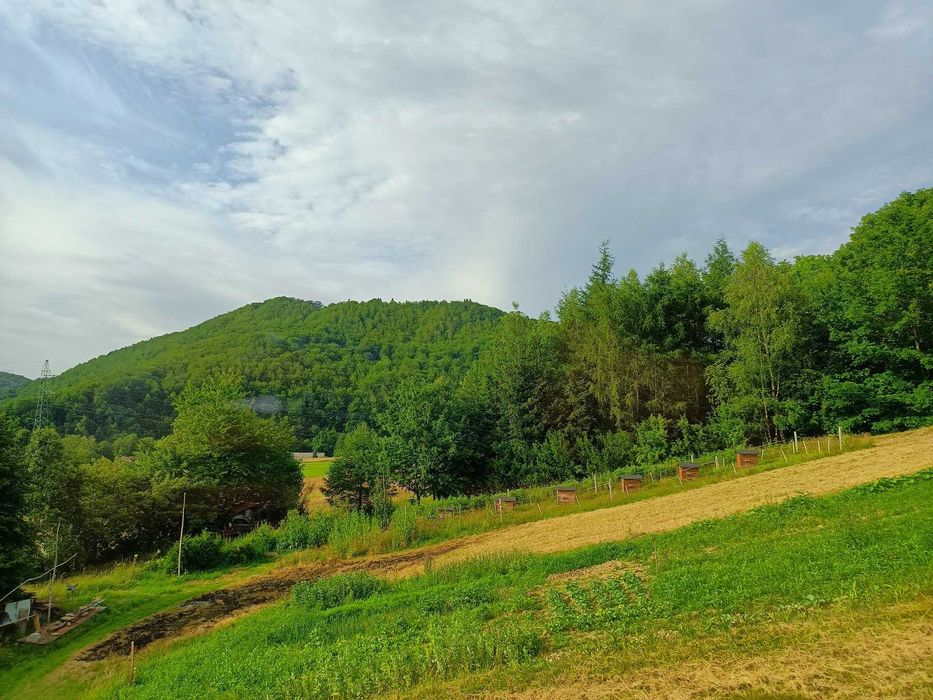 Domek letniskowy z kominkiem "Zielony Bukowiec" Noclegi Bieszczady
