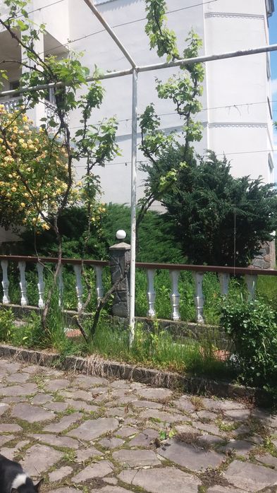 Будинок продажа в затишному місці