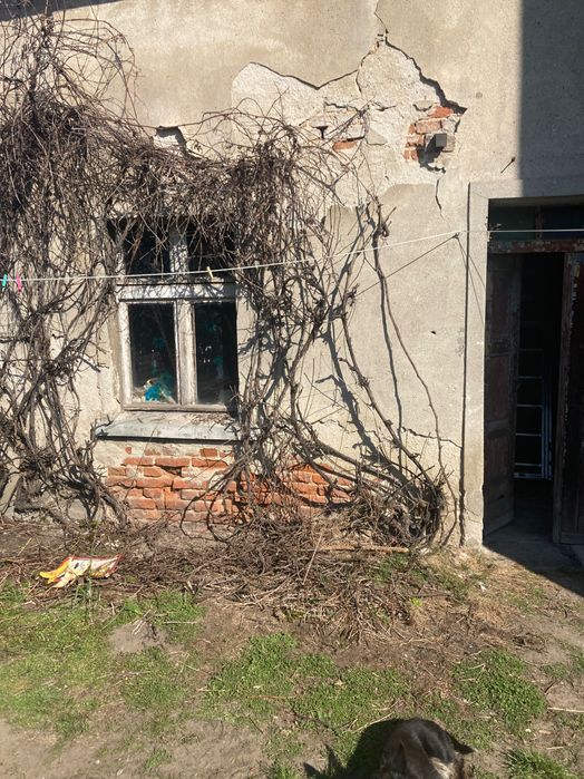 Cegłe oddam za rozbiórkę, pozostałości posprzątam