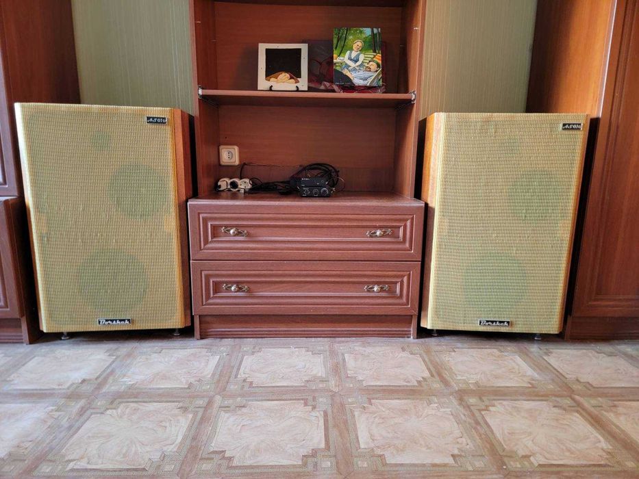 Акустическая система  (6ГД-2 + 4ГД-4 + 6ГД-13)Borshch AS016