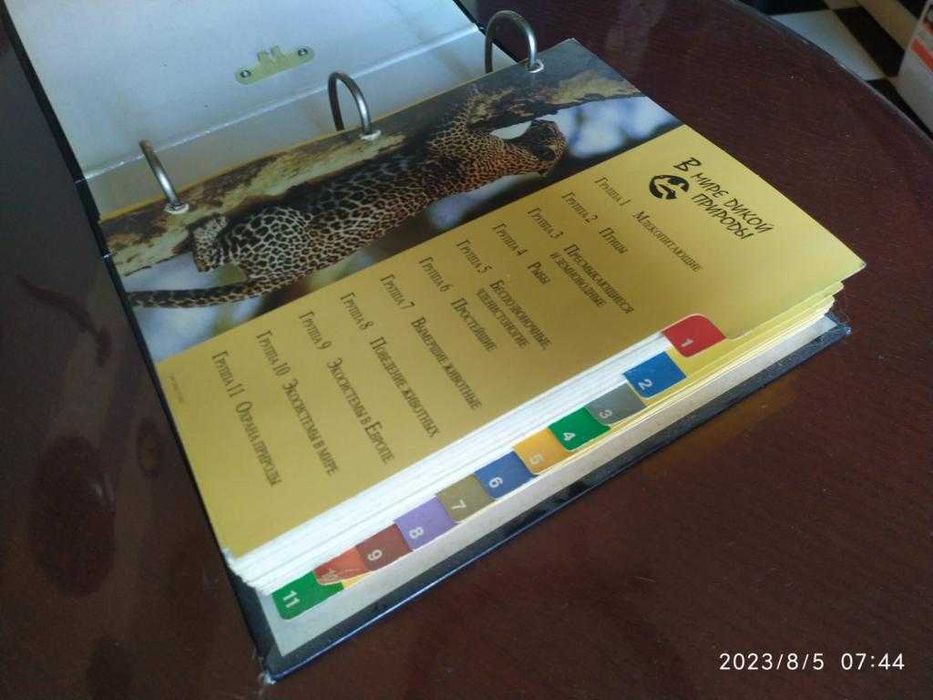 Для школьников. В мире дикой природы. Красочный альбом.