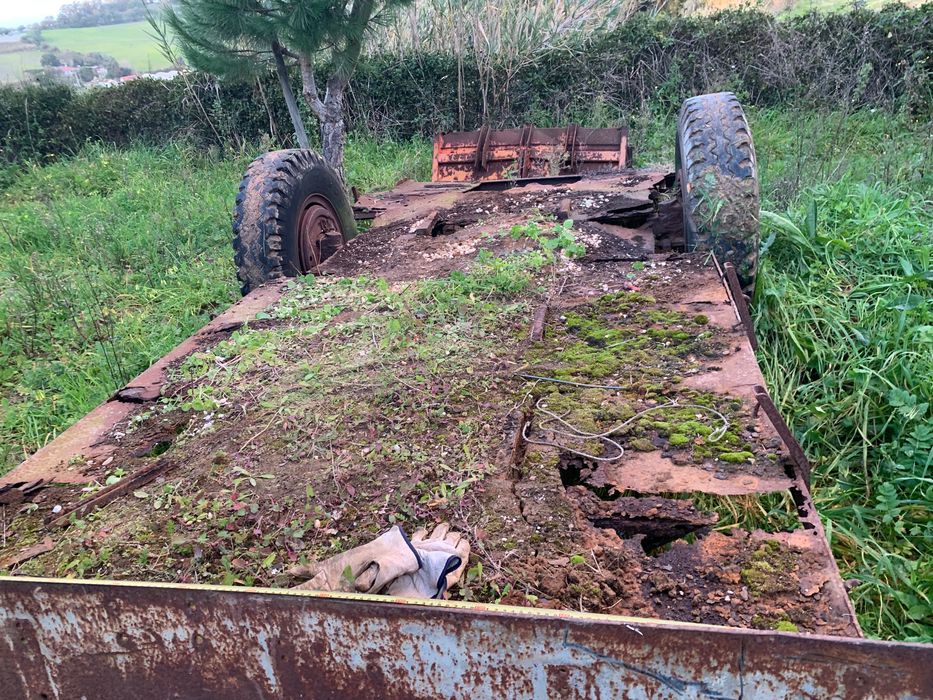 Zorra velha para Mini giratória