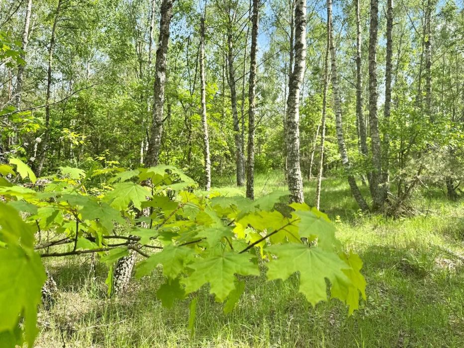Земельна ділянка під забудову – pohled 3