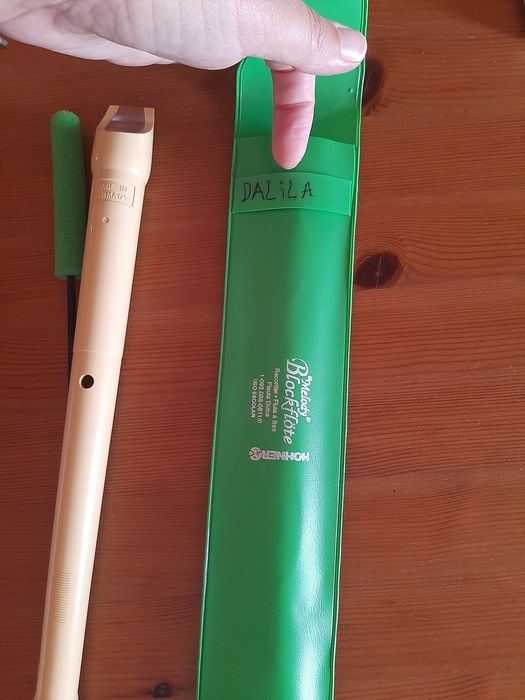 School Flute 5th and 6th Year - Excellent Condition64176768934530122