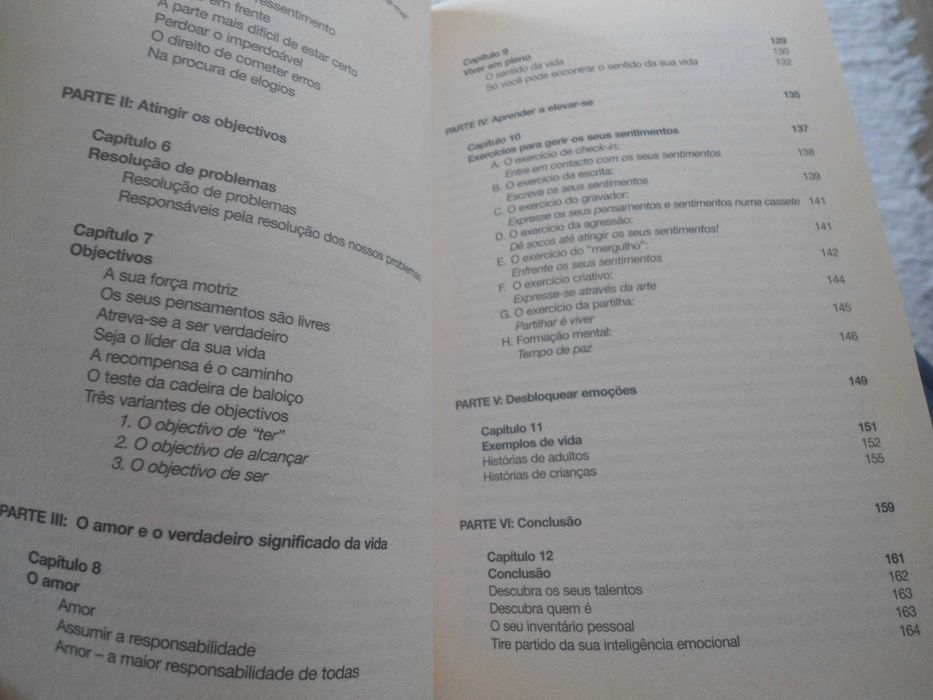 A Arte da Liderança pessoal por Randi B. Noyes