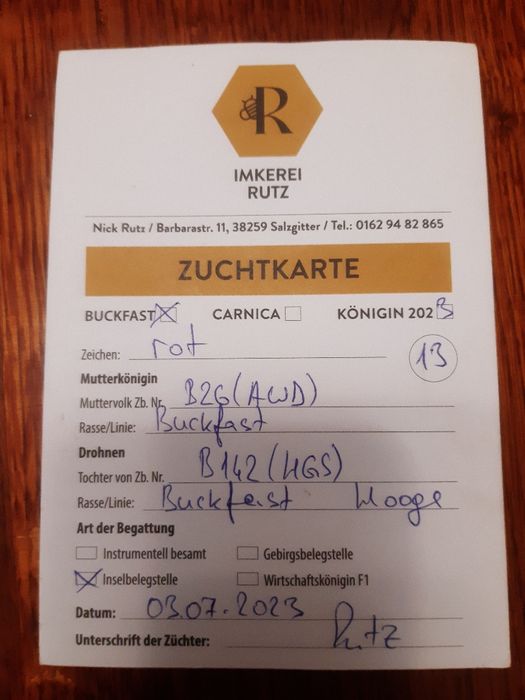 Бакфаст не плідні