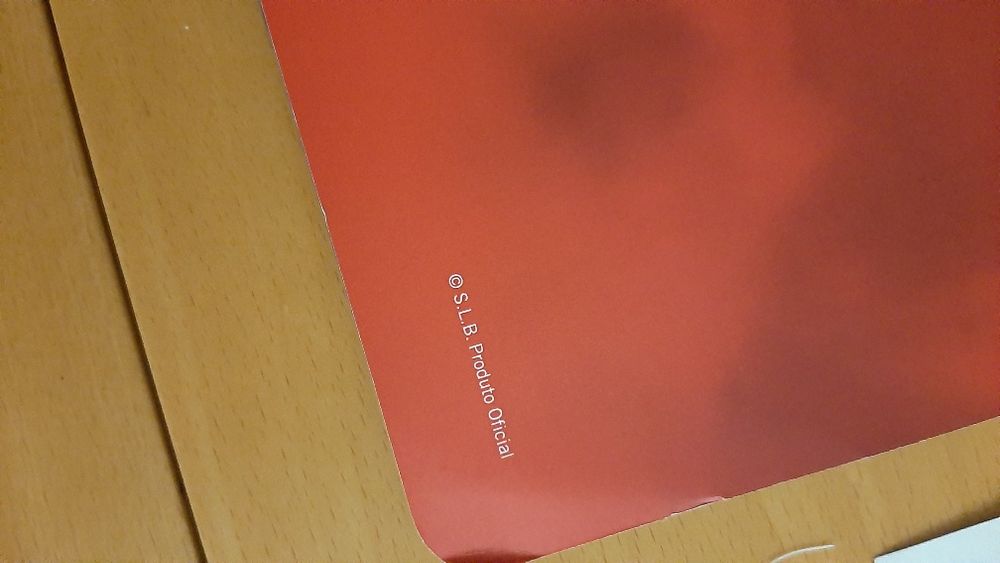 Tapete para computador do Benfica