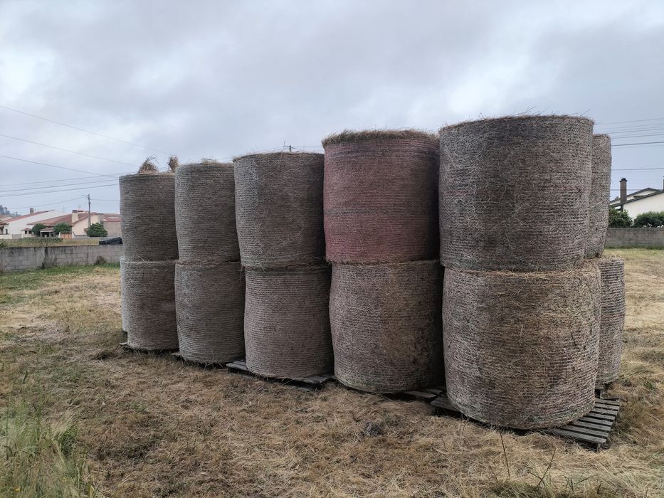 Rolos de palha para animais