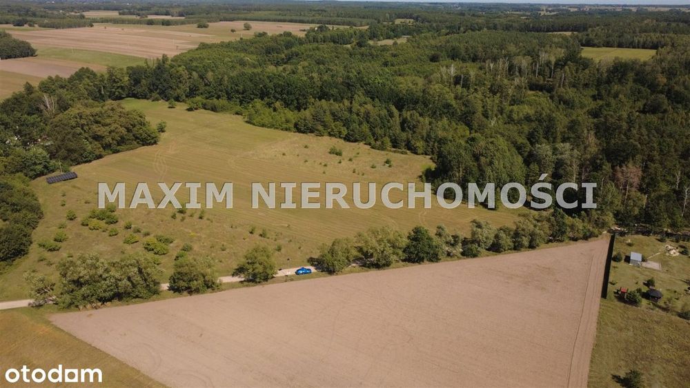 Działki budowlane obok zabytkowego parku - Widok 4