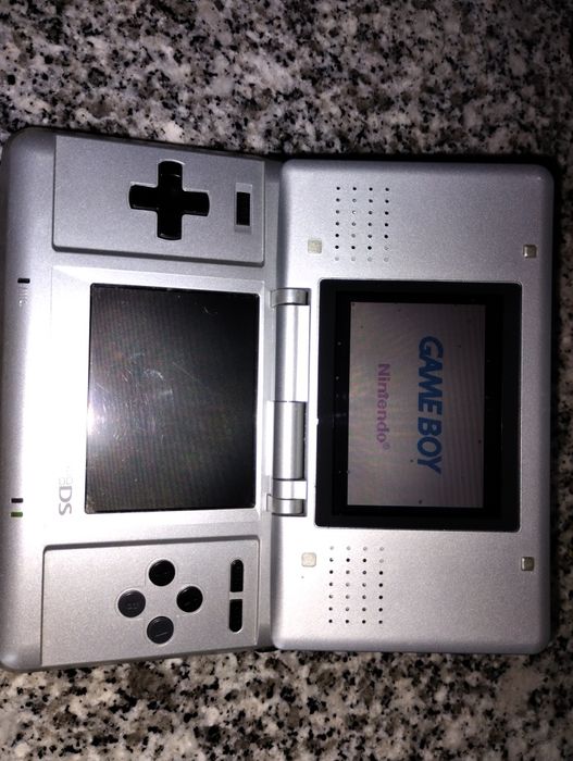 Nintendo DS + Nitendogs