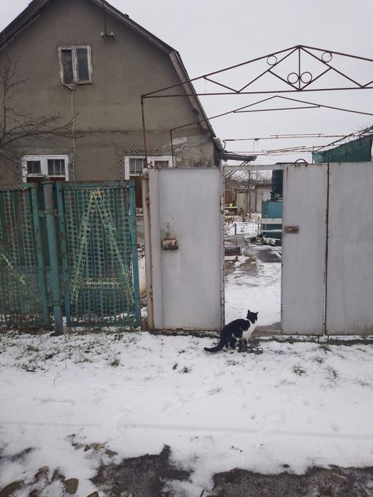 Продам дачу на Тилегульском лимане