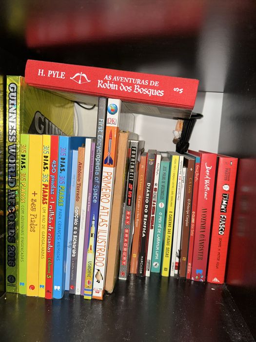 Diversos livros em portugues