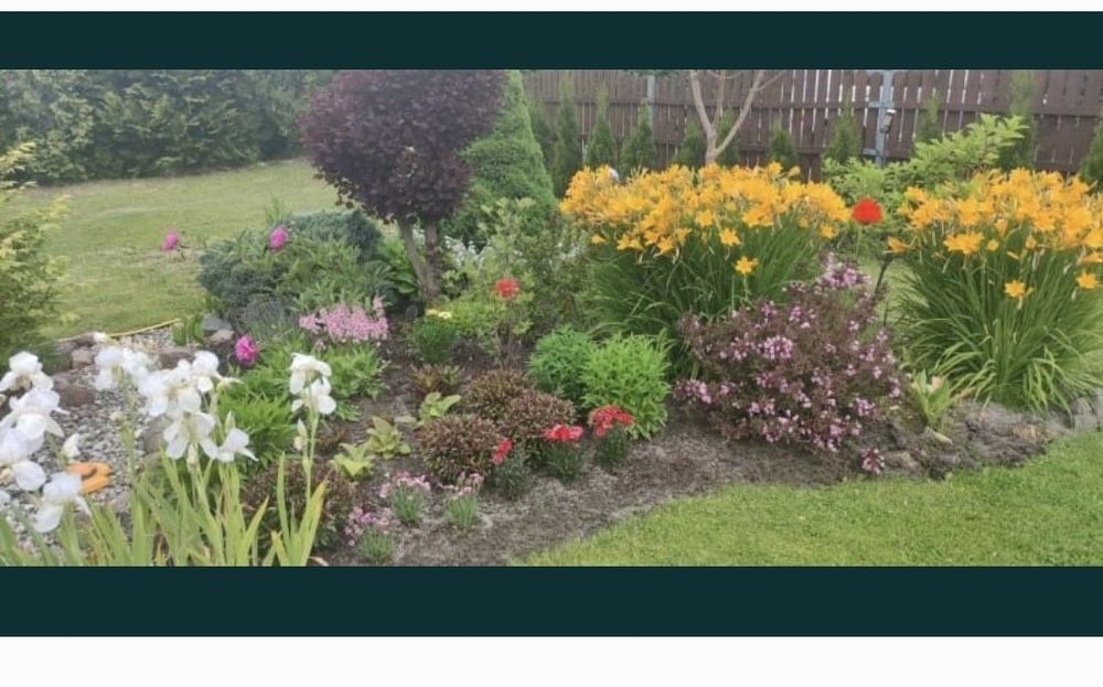 2 Działki Sawanna w Ochli