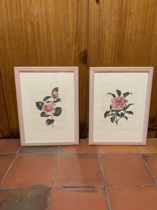 Vendo dous quadros com moldura