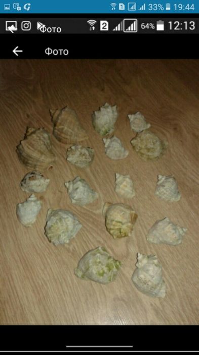 Ракушки.