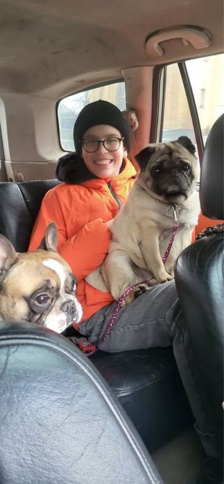 Віддаємо тільки в добрі руки мопса