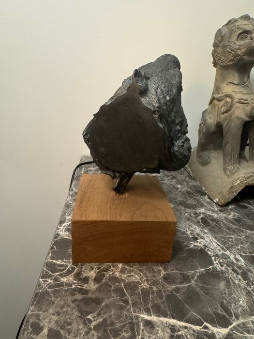 Estátua de cabeça de iguana azul feita de cobre puro.