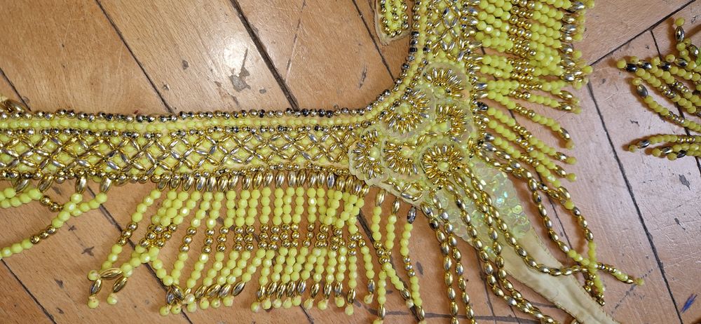 Passista brasil samba