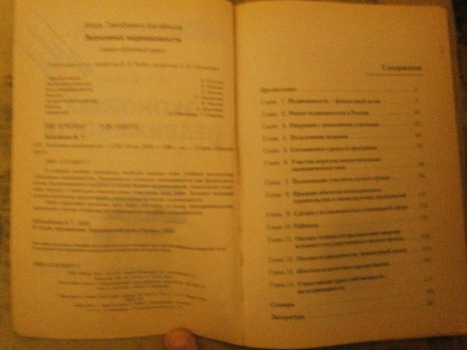 Книга "Экономика недвижимости". ISBN 5-272-00271-7