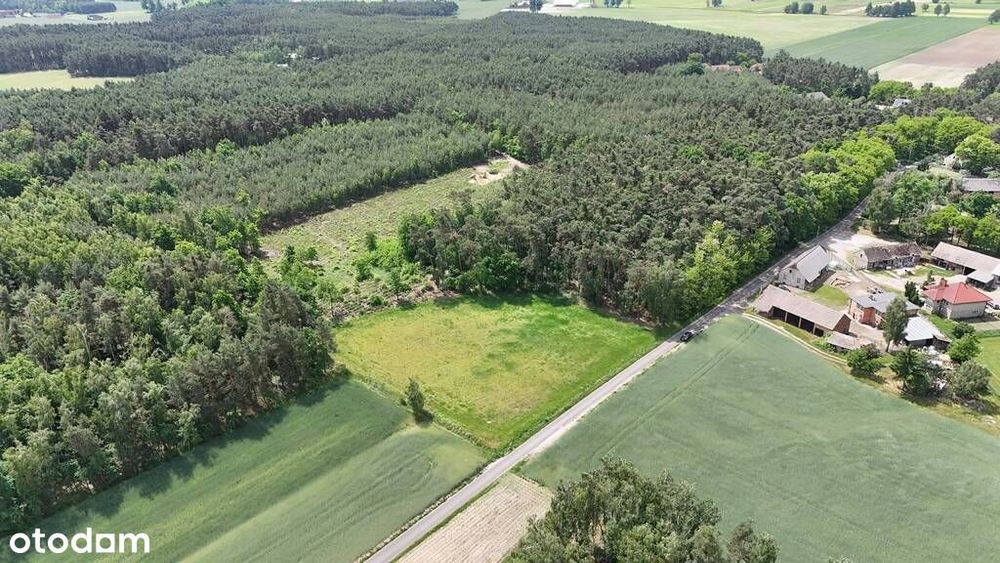 Wyjątkowa Działka przy lesie - Masanów - Więcej