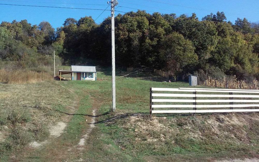 Дачна ділянка, село Курінька, Полтавська область