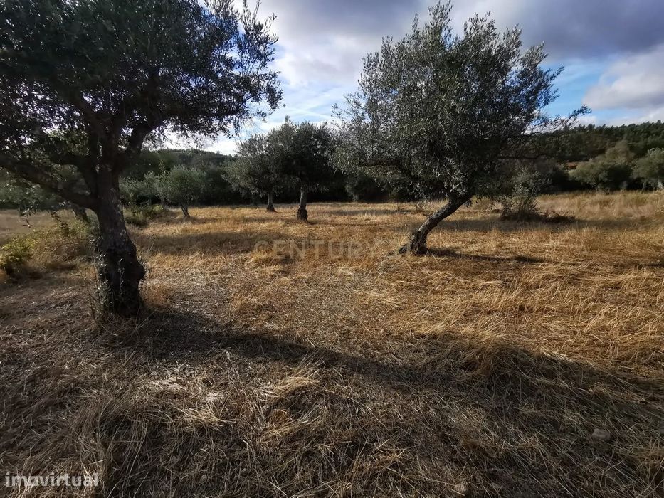 Terreno Rústico em Freixial e Juncal do Campo, Castelo Branco
