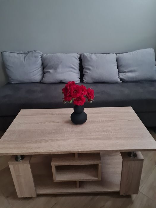 Оренда доба/місяць, центр старого міста