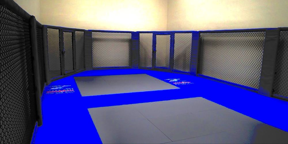 Klatka octagon MMA