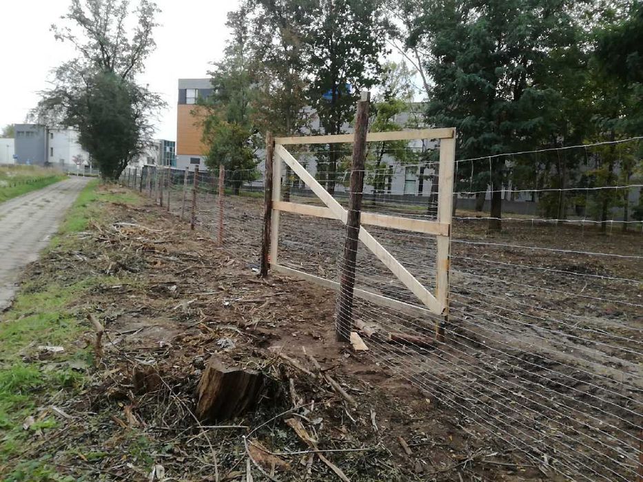 Mulczowanie, czyszczenie działek, wycinka drzew, karczowanie