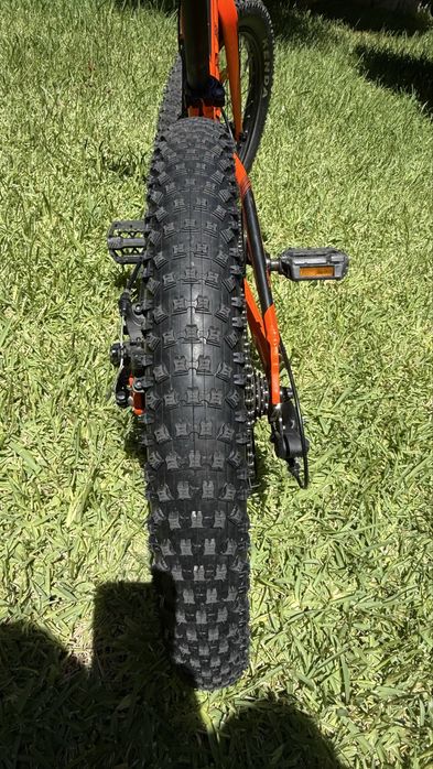 Scott Roxter 20”