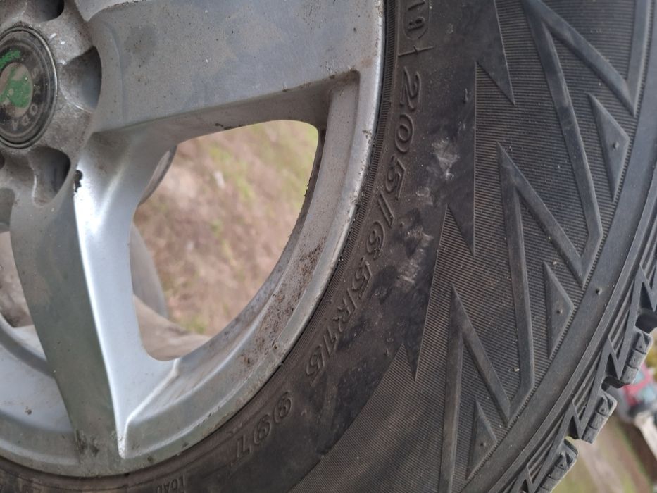 Шини на шкода октавія тур 205/65 R15