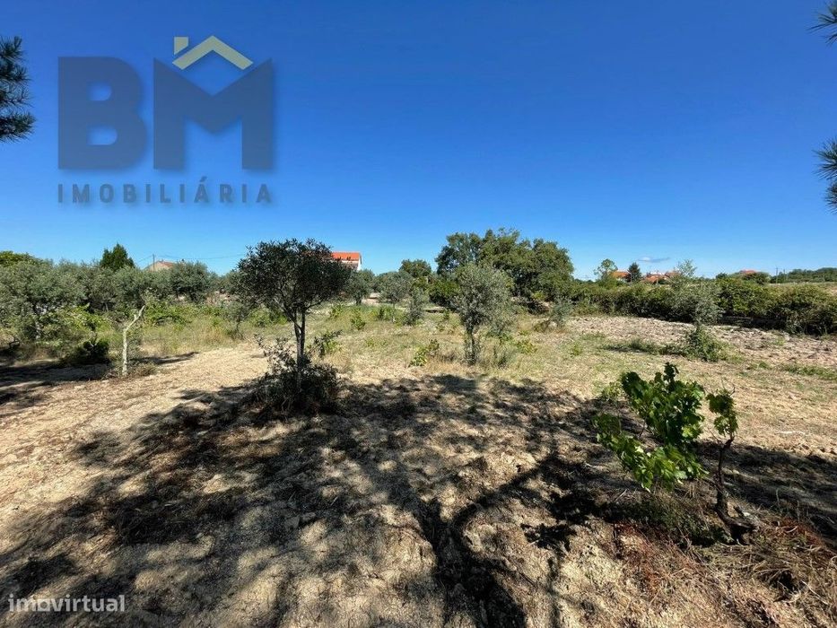 Terreno de 4000m² à Venda em Freixial do Campo